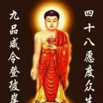 寂寞的狼987