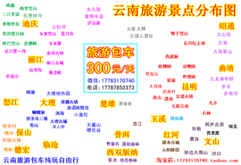 云南昆明旅游包车主播照片