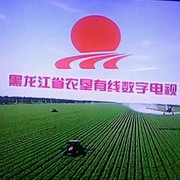 幸福人生jr