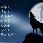 一代枭雄1