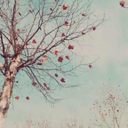 昔日4e