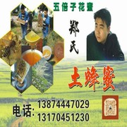 郑氏土蜂蜜海报