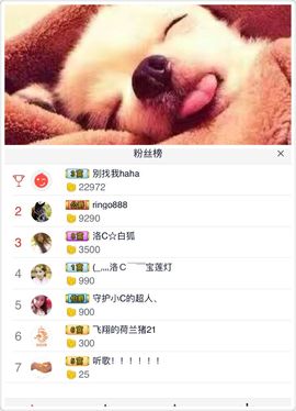 洛C~~主播照片