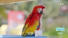✨媳婦⭐求🌙帶走✨主播照片