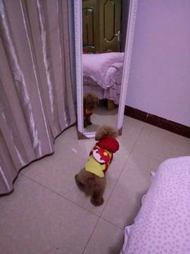 开心果【小欣】主播照片