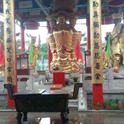 晓东10