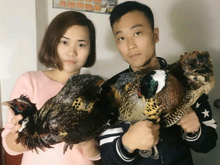 💓一笑而过💓主播照片