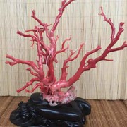 酒醉为谁