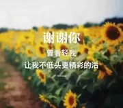 凉粉胃疼海报