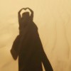 手机新人进入海报