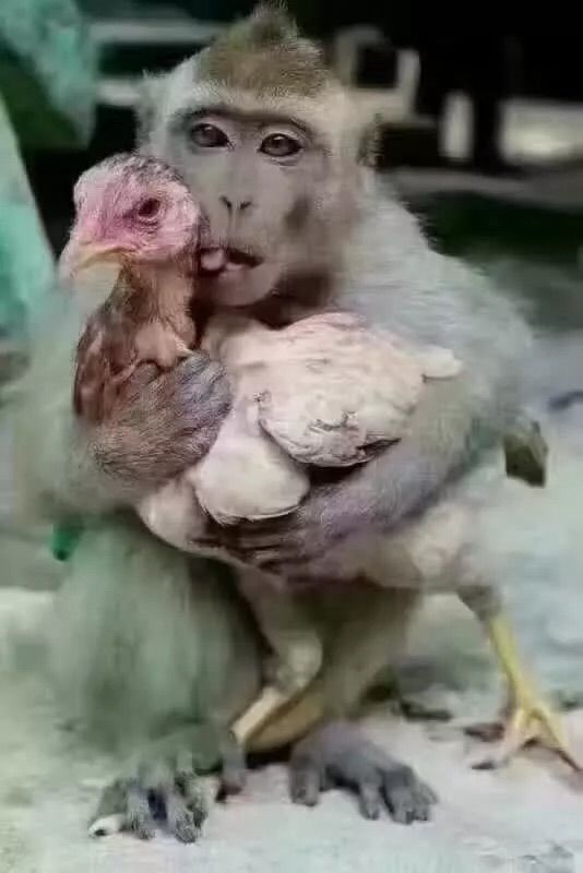 茶韵🍃主播照片