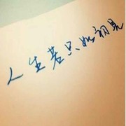 人生若只如初见