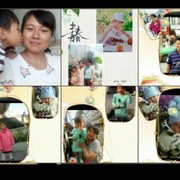 燕子gc