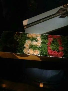 ✨媳婦⭐求🌙帶走✨主播照片