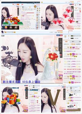安静的小游客1主播照片