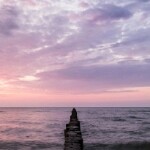 DJ执着🌊海报