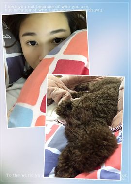 橙子江湖再见啦！主播照片
