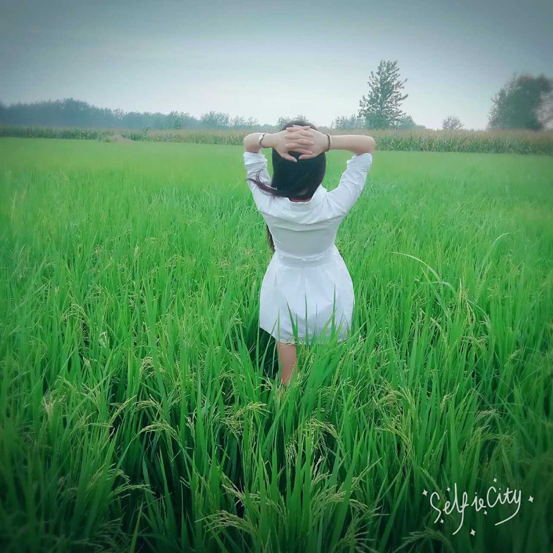 哎呀，小諾回來(lái)啦的主播照片