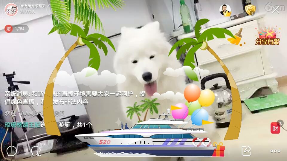 脱单君旅的主播照片