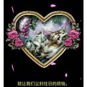 龙的传人vpq