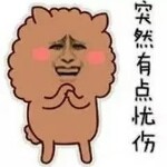 戈壁的小强海报