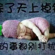 君子兰kw