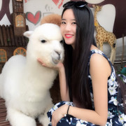蔡蔡儿