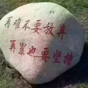 命中注定fr海报