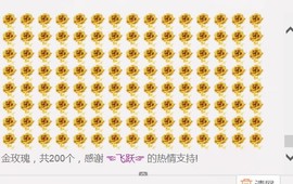 ╰ゞ✿迷雪儿✿ゞ╮主播照片