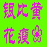 此栏省略主播照片