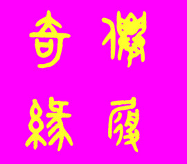 此栏省略主播照片