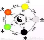 此栏省略主播照片