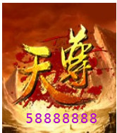 此栏省略主播照片