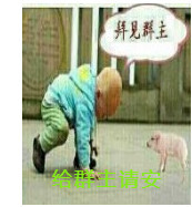 此栏省略主播照片