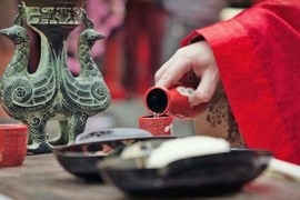 此栏省略主播照片