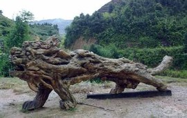 此栏省略主播照片