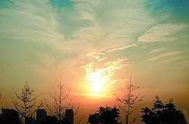 此栏省略主播照片