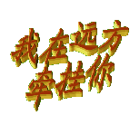 此栏省略主播照片