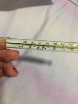 美美換新房號啦主播照片