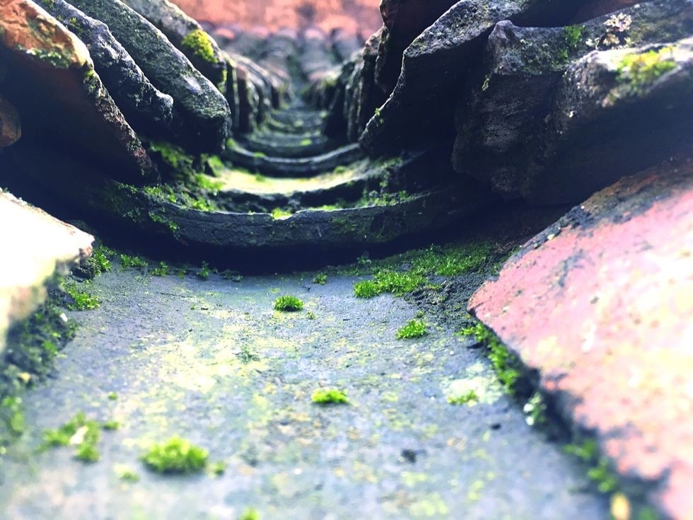 风中的风铃的图片