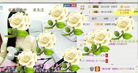 ？？！！，，？？主播照片
