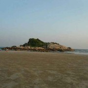 喵喵的天天