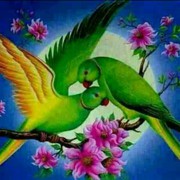 蓝🌺天🌷白🌹云