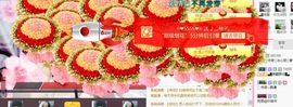 你的冰心回来了主播照片