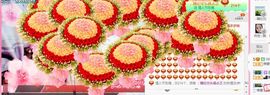 你的冰心回来了主播照片