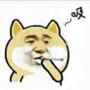 我的取向狙击静静ღ海报