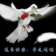 看透人生f$
