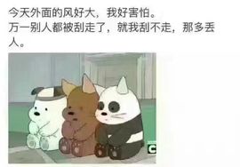 晓晓♚小暖主播照片