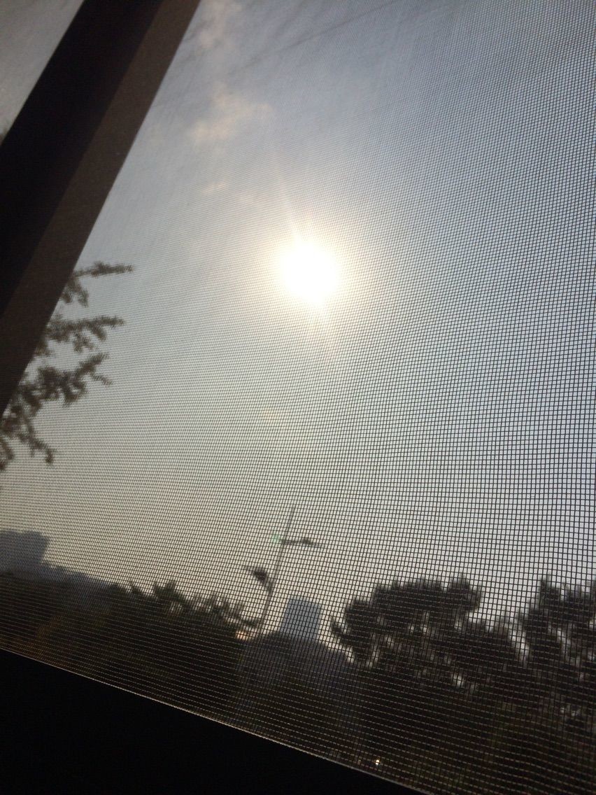 风中的风铃的图片
