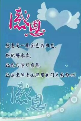 笑而不语732335主播照片